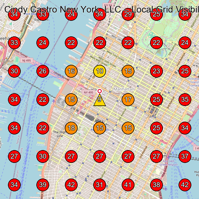Cindy Castro New York, LLC GeoGrid visibility map for Women'S Clothing Store in New York